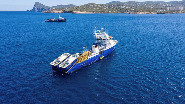 La «Guerra del atún», la flota europea acusa a China de dumping