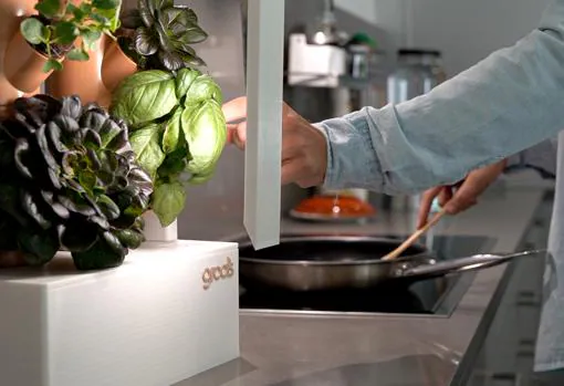 La startup española Groots ha creado minitorrres para instalar con facilidad cultivos hidropónicos en espacios domésticos como la cocina
