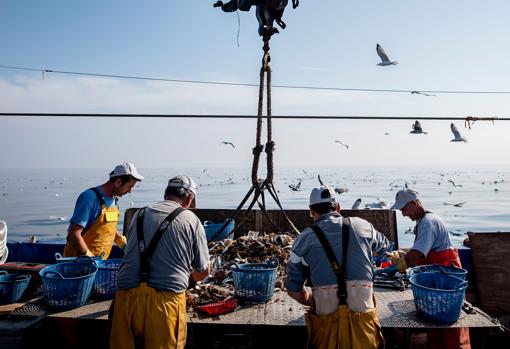 El proyecto Upcycling the Oceans da una segunda vida a los desechos que se acumulan en el fondo de los océanos