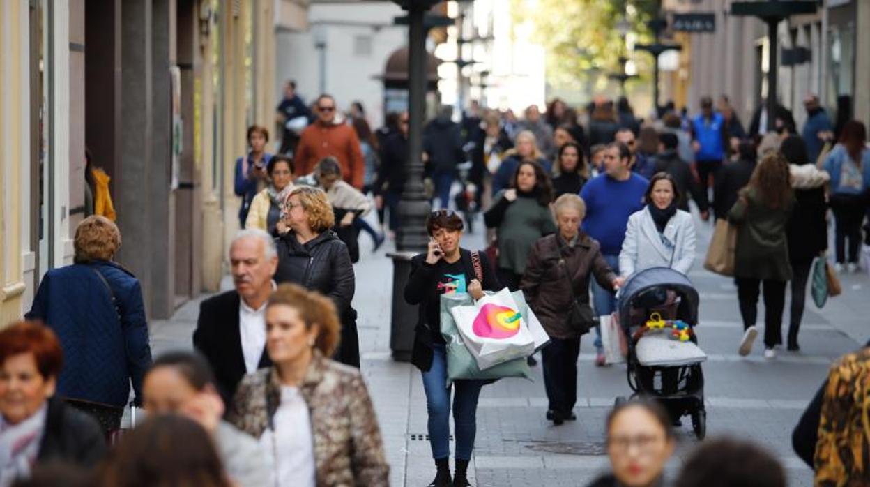 Compras en la campaña de Black Friday del año pasado