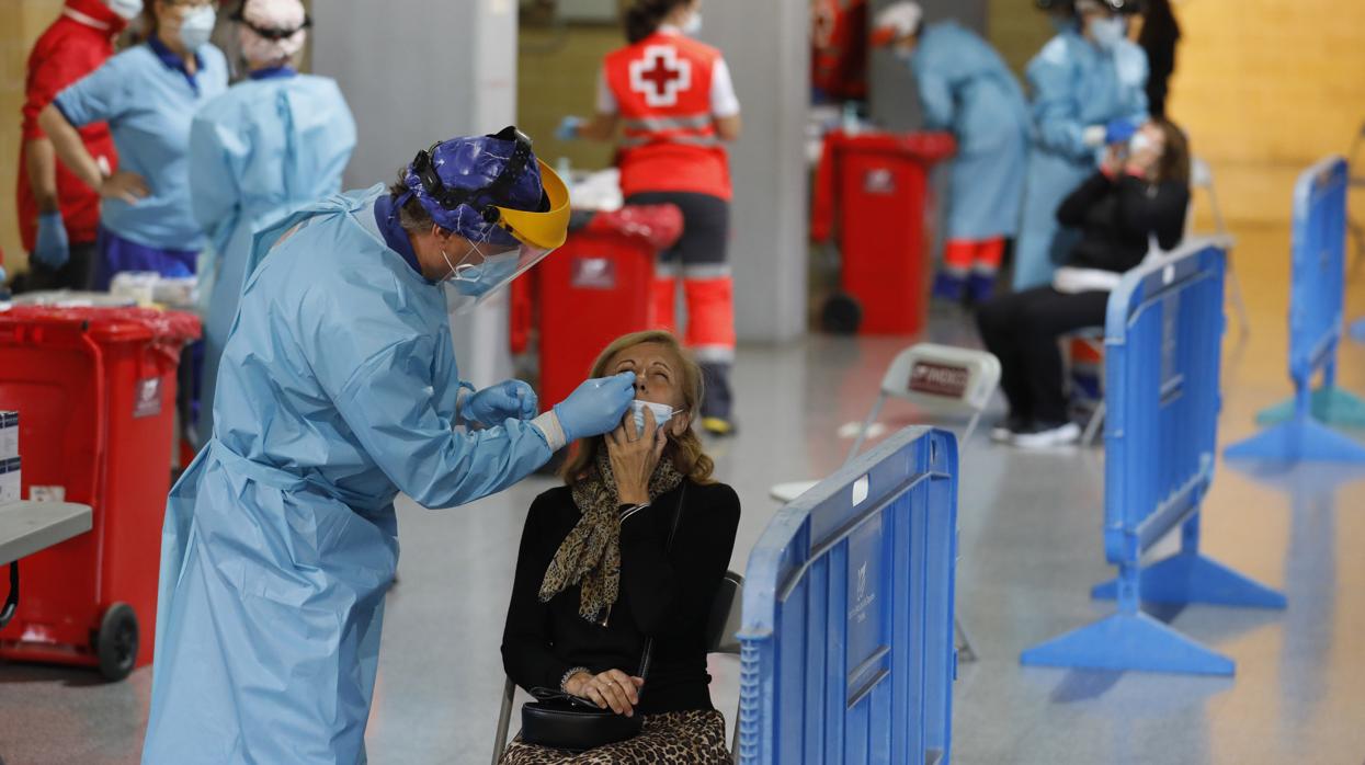 Sanitarios realizan un cribado masivo de Covid-19 en el Palacio de Deportes de Vistalegre de Córdoba