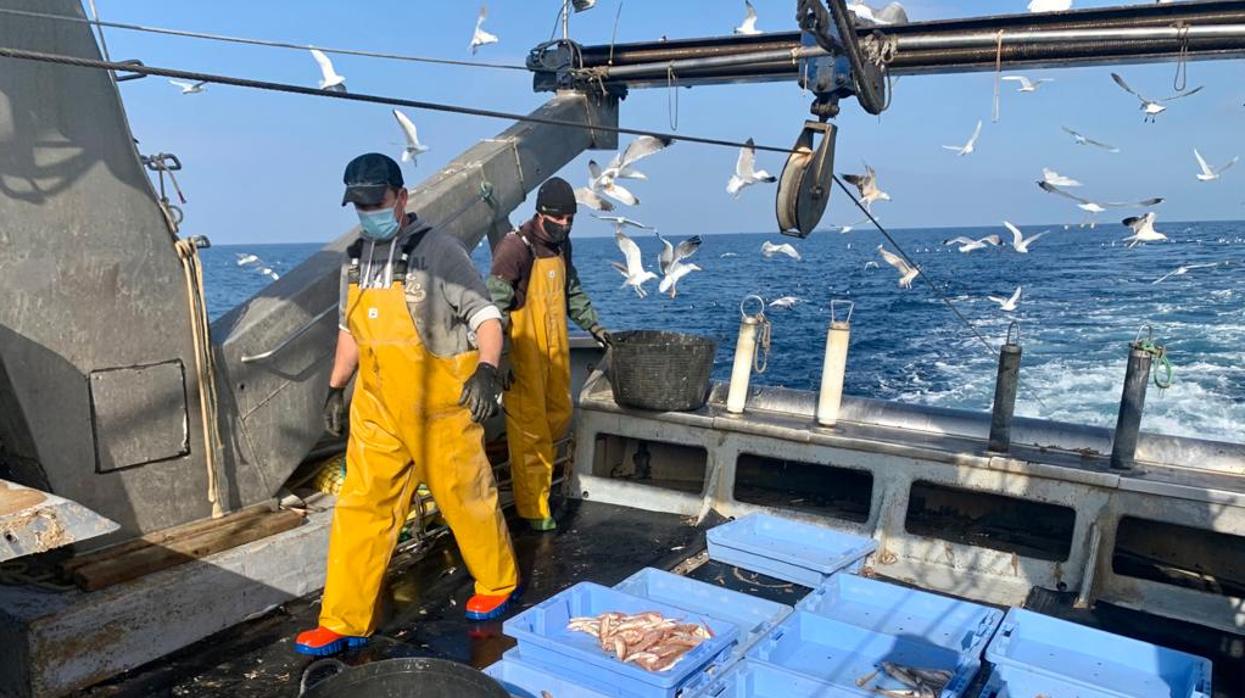 Imagen de un pescador faenando