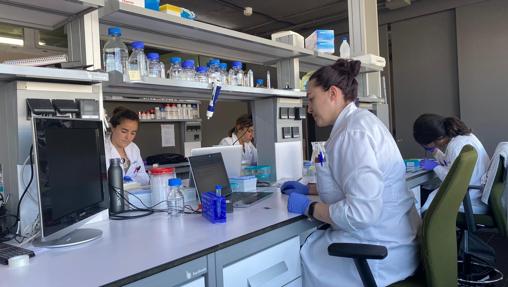 Uno de los laboratorios de la empresa vasca de biotecnología Biolan, ubicada en el Parque Tecnológico de Bizkaia