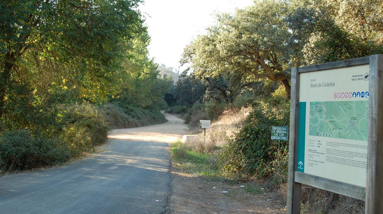 Un camino rural en Navas de la Concepción, uno de los pueblos más castigados por el paro en el último año