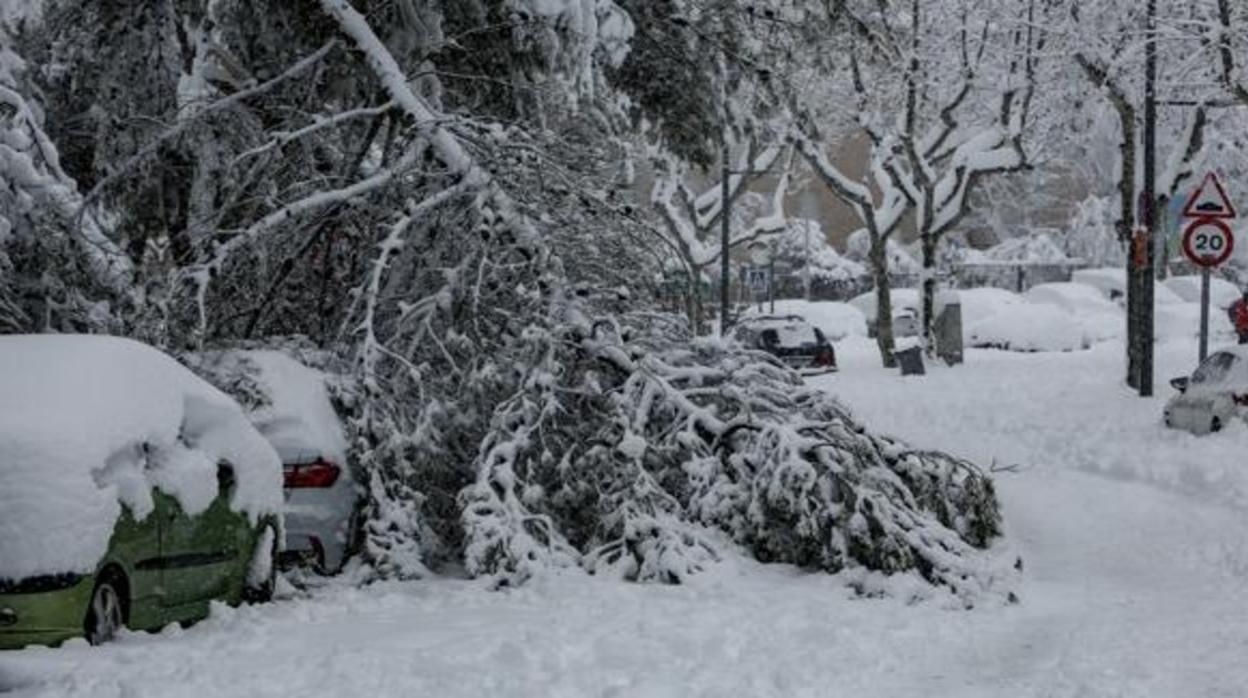 Daños en Madrid por la reciente nevada