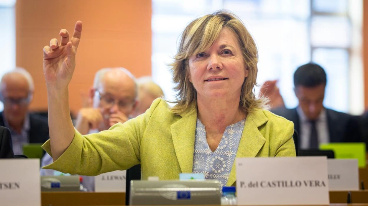 Pilar del Castillo: «Es fundamental crear un espacio europeo de datos»