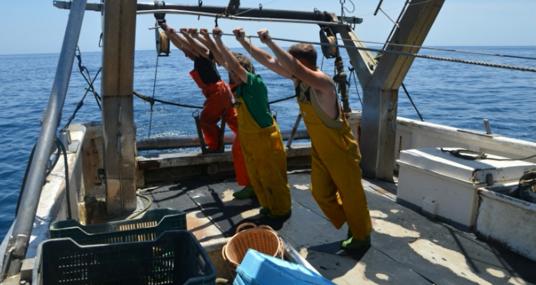 Andalucía es la segunda comunidad con más barcos pesqueros