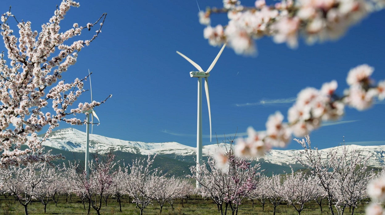 Parque eólico El Marquesado de Iberdrola en Granada