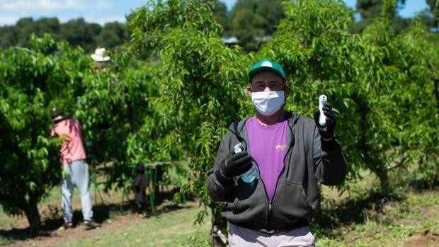 La siniestralidad laboral en el campo no da tregua en pandemia: los accidentes mortales se disparan un 33%