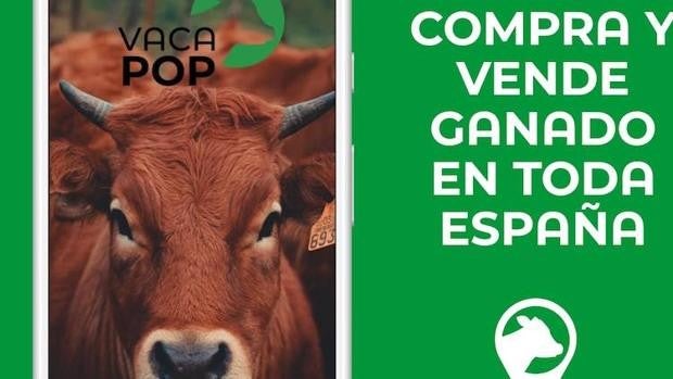 Llega a Andalucía Vacapop, el «Wallapop» del ganado