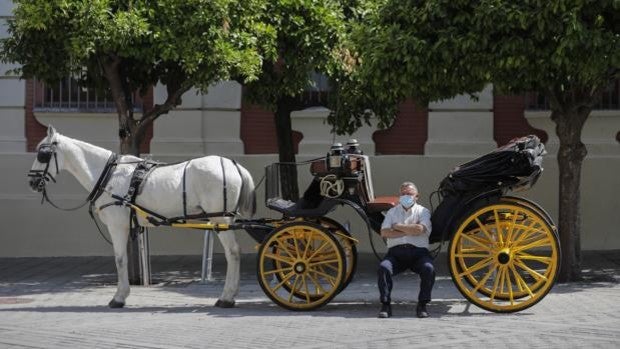 La economía de Sevilla crecerá este año un 5,4%, por debajo de la media andaluza