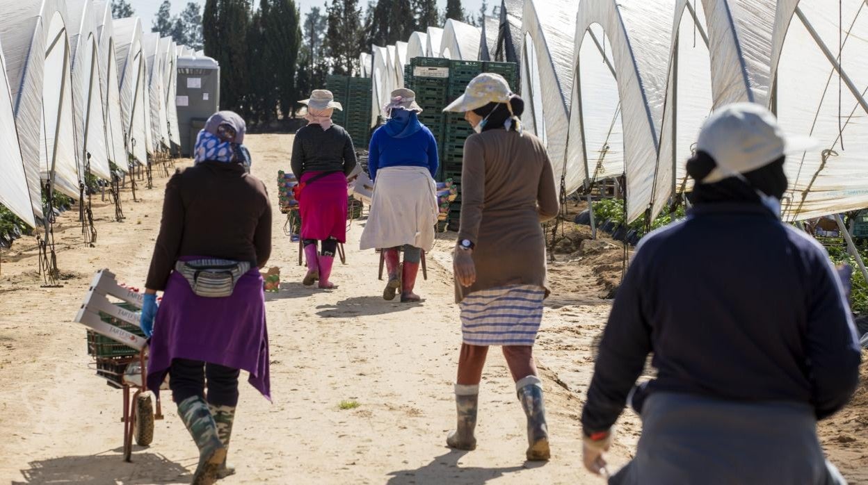 Trabajadoras de la fresa de Huelva