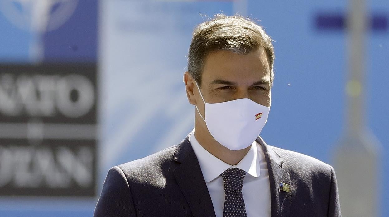 Pedro Sánchez, presidente del Gobierno