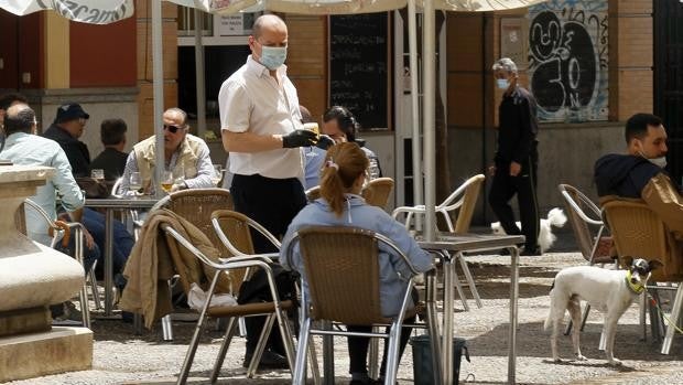 Más de 11.200 personas salen del paro en Sevilla en el mes de junio, el mejor dato de la serie histórica