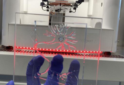 Un modelo de neurona visual para mostrar la resolución de sus equipos de bioimpresión