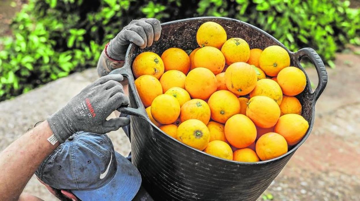 El incumplimiento de los plazos de pago, detrás de la mayoría de las sanciones en el campo español