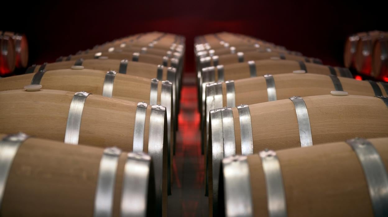 Bodegas Benjamin de Rothschild &amp; Vega Sicilia en la Rioja Alavesa