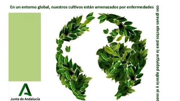 «Si viajas, no traigas plantas»: así es la campaña que vela por la sanidad del campo andaluz