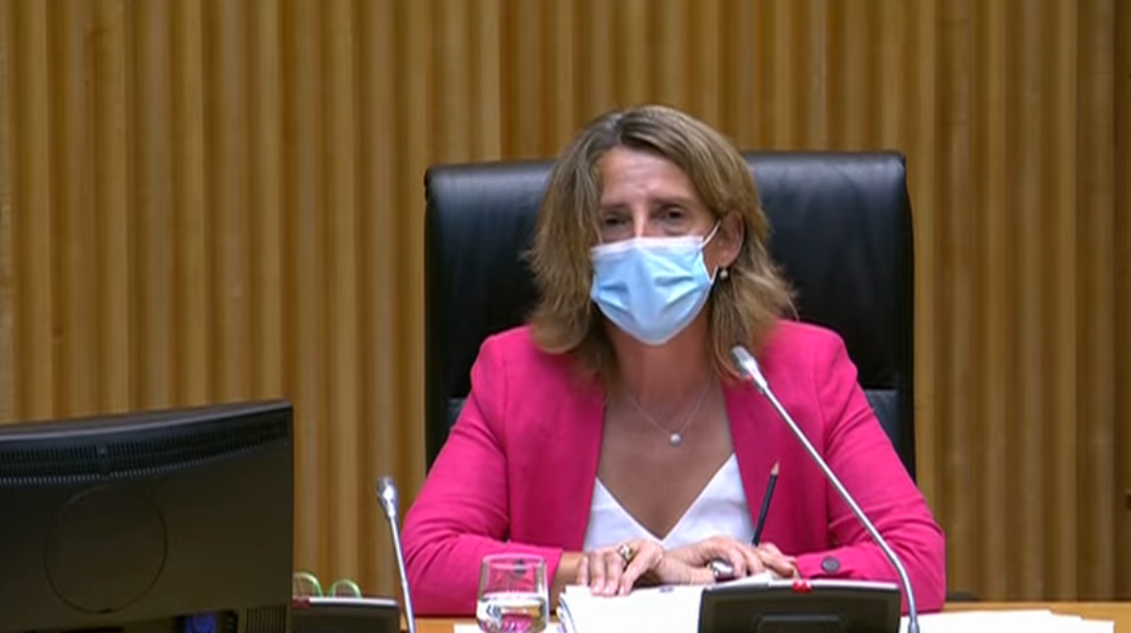 La ministra, esta tarde