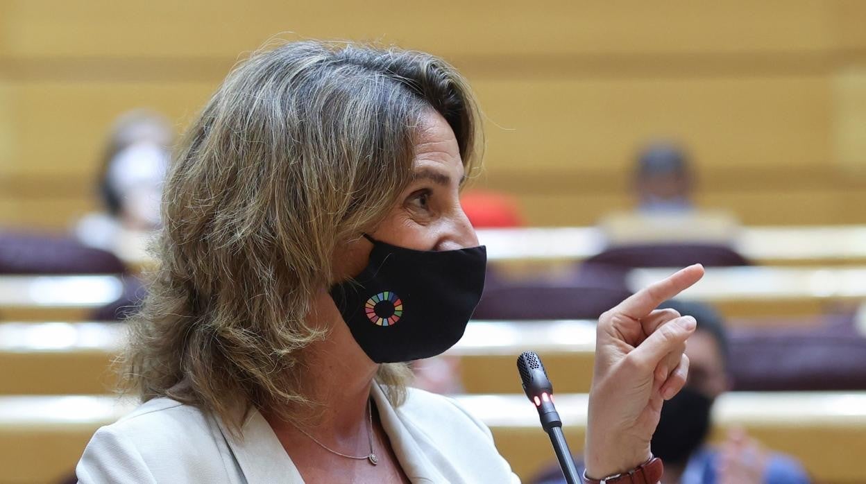 Teresa Ribera, vicepresidenta y ministra de Transición Ecológica