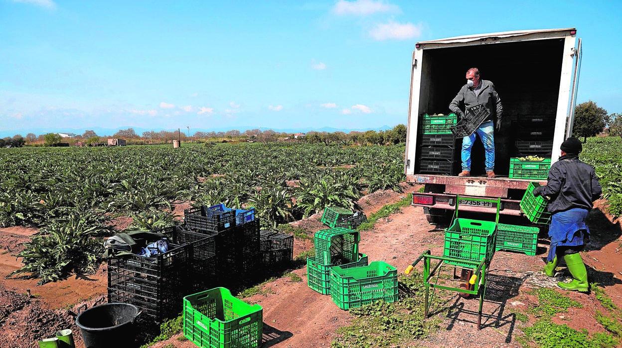 El campo afronta la subida inmerso en una gran crisis de rentabilidad