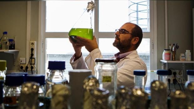 Las ‘renovables’ agrícolas plantan las semillas de la productividad