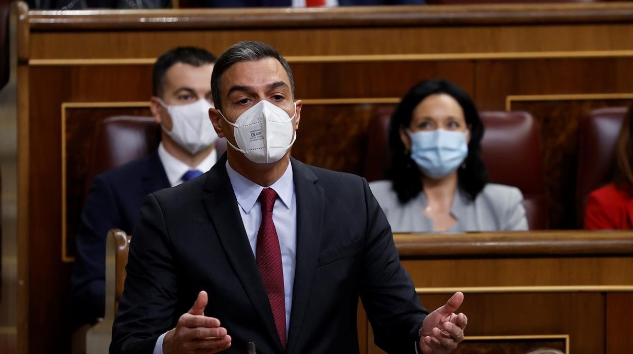 Sánchez, esta mañana en el Congreso en la sesión de control