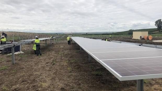 El precio de la luz impulsa un boom de proyectos solares en el regadío