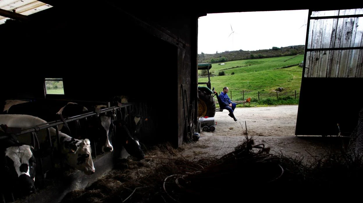 El conflicto entre ganaderos, industria y distribución por el precio de la leche se enquista