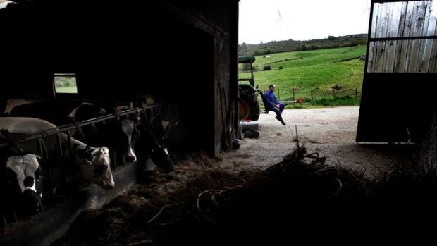 El conflicto entre ganaderos, industria y distribución por el precio de la leche se enquista