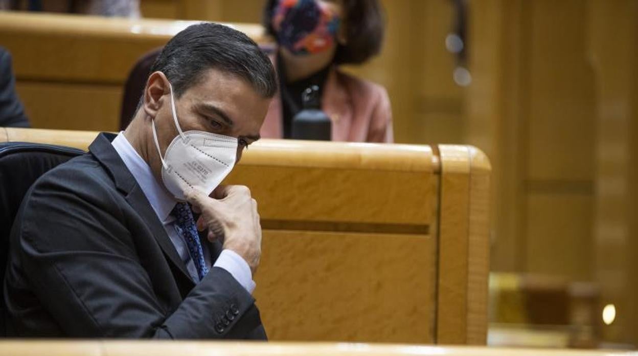 Pedro Sánchez tiene que hacer frente a un gran malestar del campo, unido al de los transportistas y el sector del metal