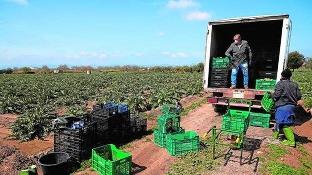 El campo se moviliza: ¿Eres ganadero o agricultor y estás ahogado por los costes? Cuéntanos tu caso