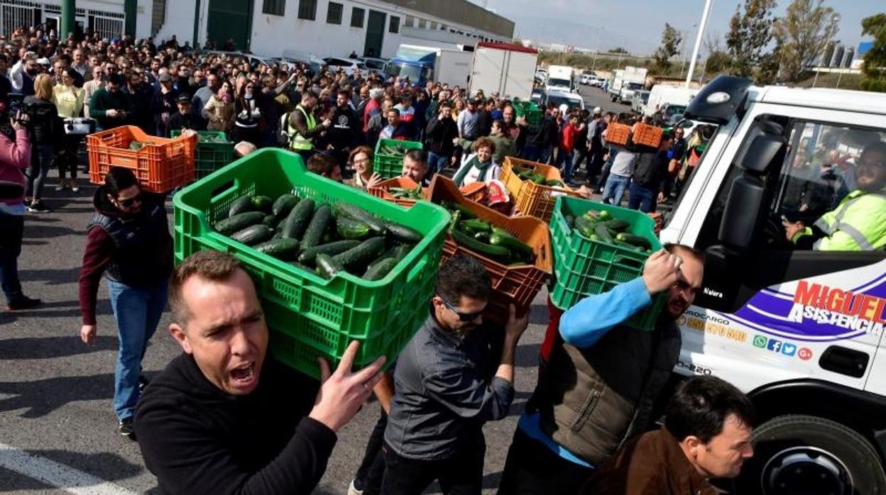 El sector hortofrutícola se concentra mañana frente al Ministerio de Agricultura