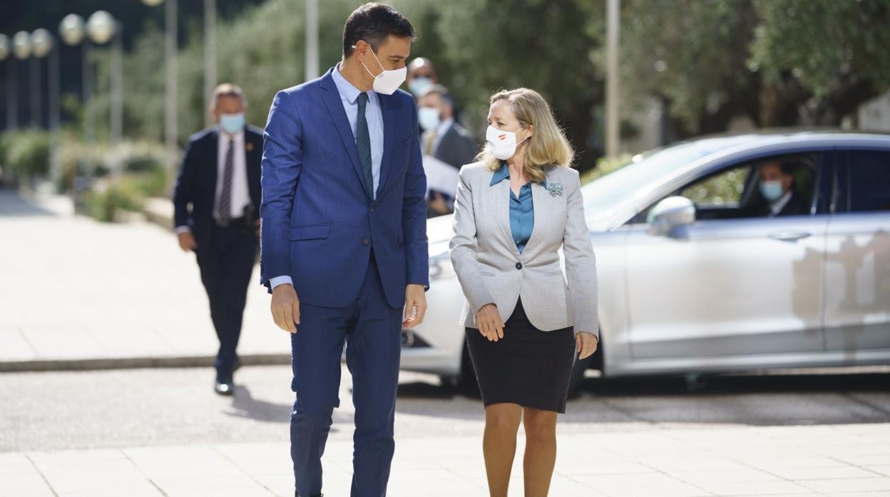 Así gasta Sánchez los fondos europeos: 60 millones para evitar daños en las aves y 3,5 para propaganda