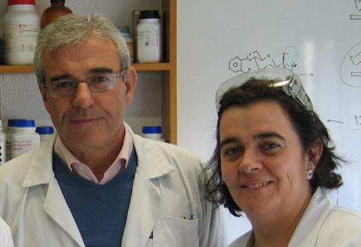 Julia Revuelta y Alfonso Fernández-Mayoralas del Instituto de Química Orgánica General del CSIC