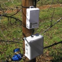 En las explotaciones frutícolas de la cooperativa Biolord se instalan sondas para controlar la humedad del suelo y ahorrar agua