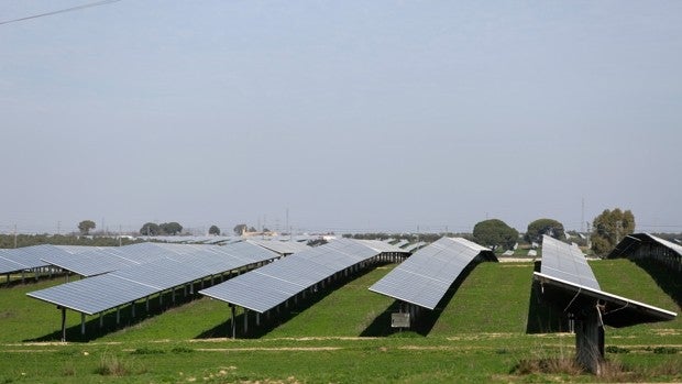 Naturgy compra a Ence cinco plantas fotovoltaicas en Andalucía por 62 millones de euros