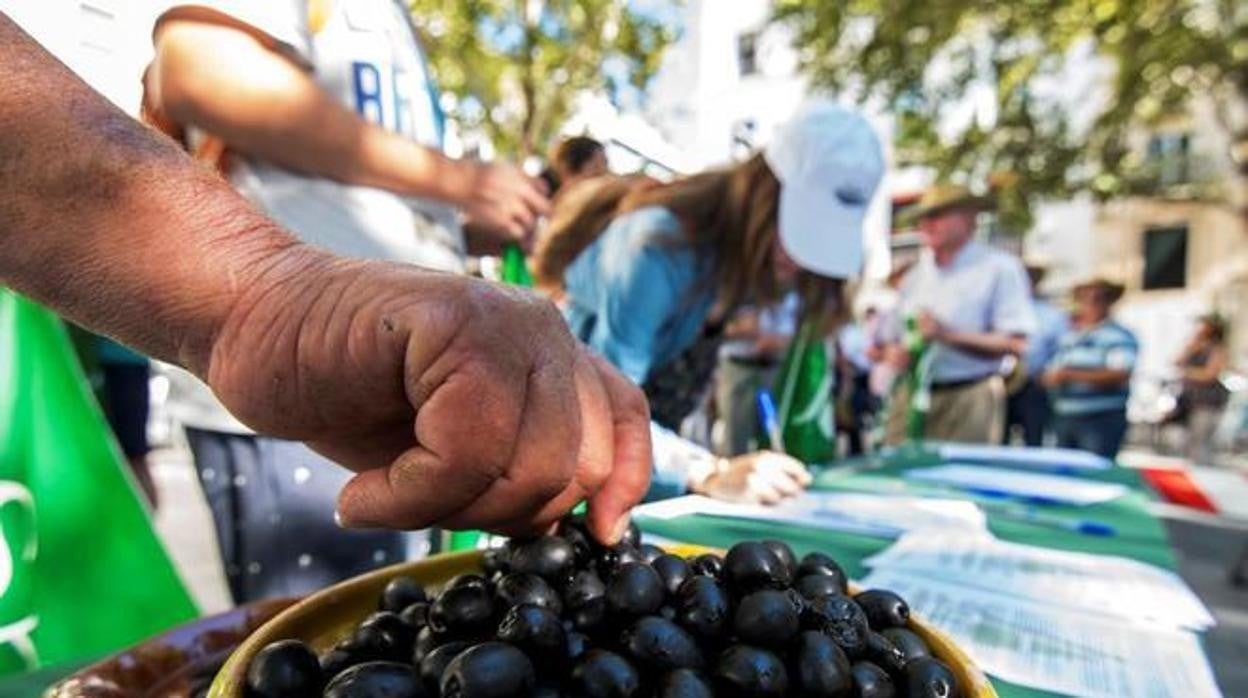 Asemesa estima unas pérdidas superiores a los 150 millones de euros desde que se establecieron los aranceles hace más de tres años