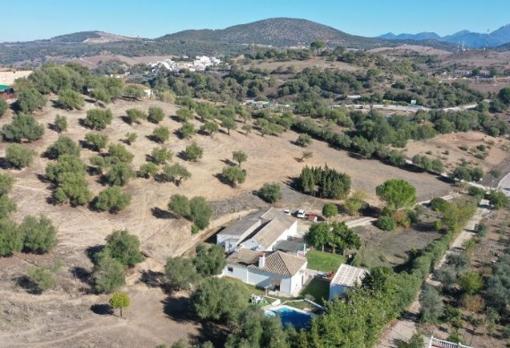 La casa en medio del olivar