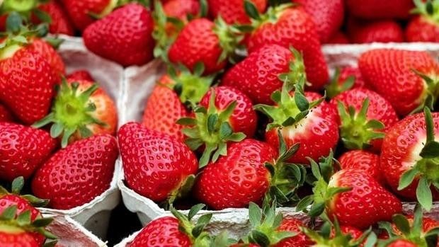 «Campanadas con fresas» en Nochevieja para luchar contra el cáncer