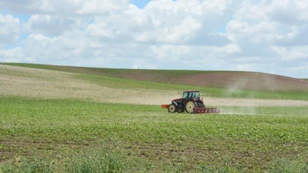 Menos superficie cultivable en Andalucía