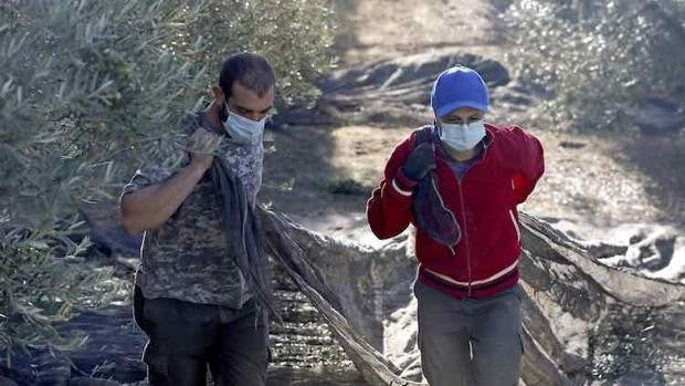 Nueva reforma laboral: así repercutirán al sector agrario los tipos de contrato y su aplicación