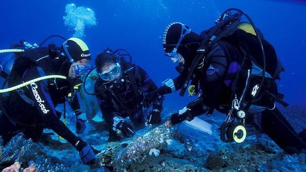 La biotecnología azul emerge como gran caladero innovador de la economía española