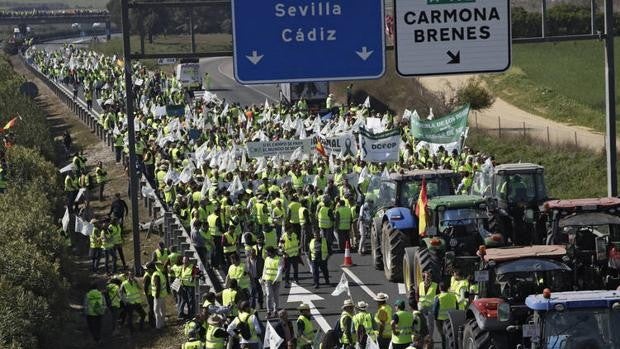 Manual para arruinar al campo andaluz en tan sólo diez pasos