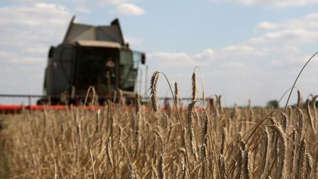 España ya busca mercados alternativos ante la destrucción del 'granero' ucraniano