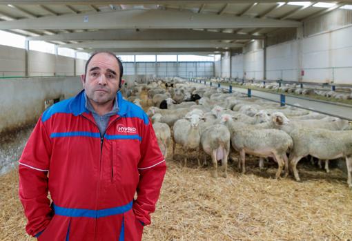 Luis Alfonso Hernández