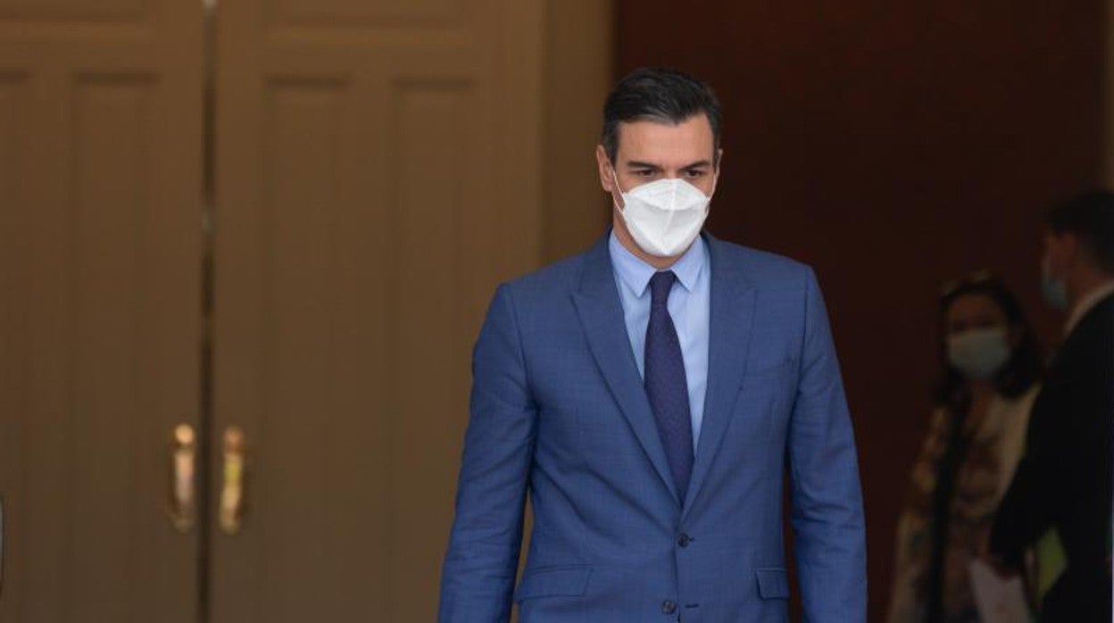 Pedro Sánchez, presidente del Gobierno