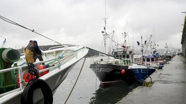 Cepesca y Cofradías seguirán faenando, pero muestran su descontento con las medidas del Gobierno