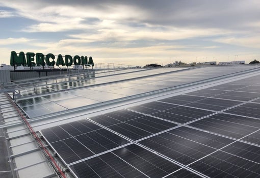 Mercadona ha incorporado 11.500 placas solares en tiendas, bloques logísticos y 'colmenas' destinadas a la venta online, que suponen un ahorro de 1.446 toneladas de CO2 al año