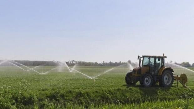 Los inversores apuestan por el campo: la compra de fincas en Andalucía crece un 29% en cuatro años